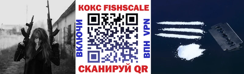 COCAIN Fish Scale  закладка  Кизел 