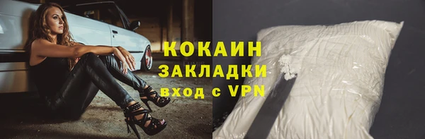 дживик Мегион