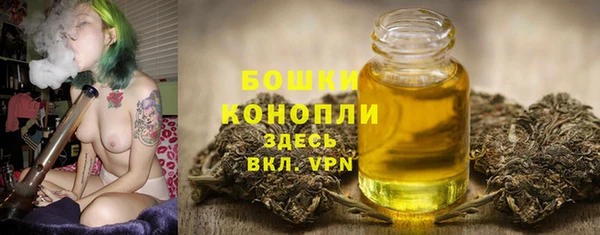 дживик Мегион