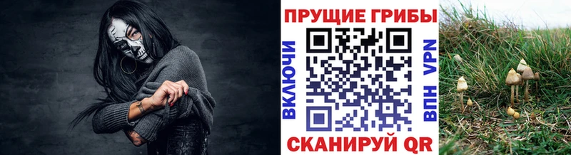 дарнет шоп  Кизел  гидра tor  Псилоцибиновые грибы ЛСД 